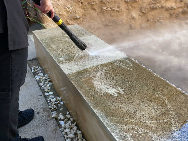 Best Local Pressure Washing Services  in Elk Grove Vlage, IL