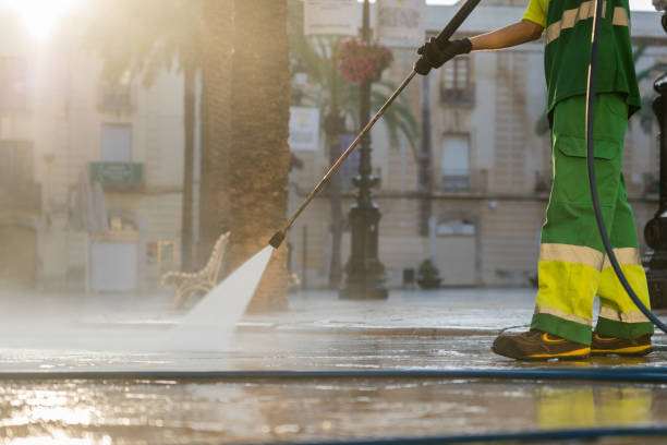 Best Commercial Building Pressure Washing  in Elk Grove Vlage, IL